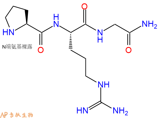 專肽生物產品H2N-Pro-Arg-Gly-NH2