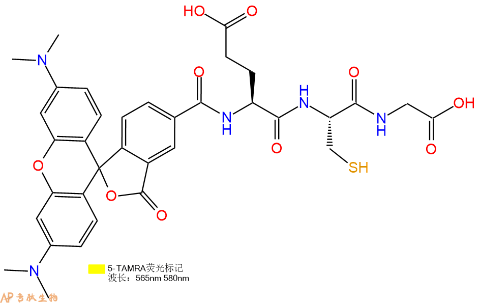 專肽生物產(chǎn)品5TAMRA-Glu-Cys-Gly-OH