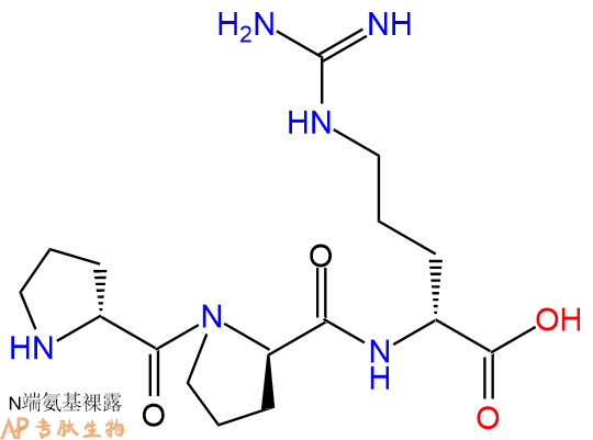 專肽生物產(chǎn)品H2N-DPro-DPro-DArg-OH