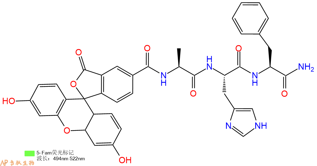 專(zhuān)肽生物產(chǎn)品5FAM-Ala-His-Phe-CONH2